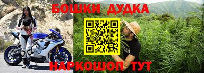 PSILOCYBIN Можга