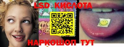 PSILOCYBIN Можга