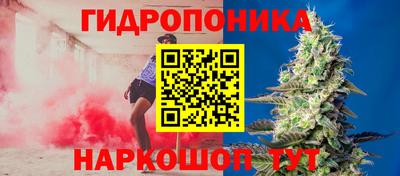 PSILOCYBIN Можга