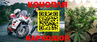 PSILOCYBIN Можга