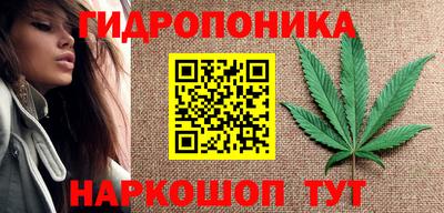 PSILOCYBIN Можга