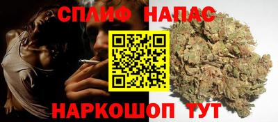 PSILOCYBIN Можга