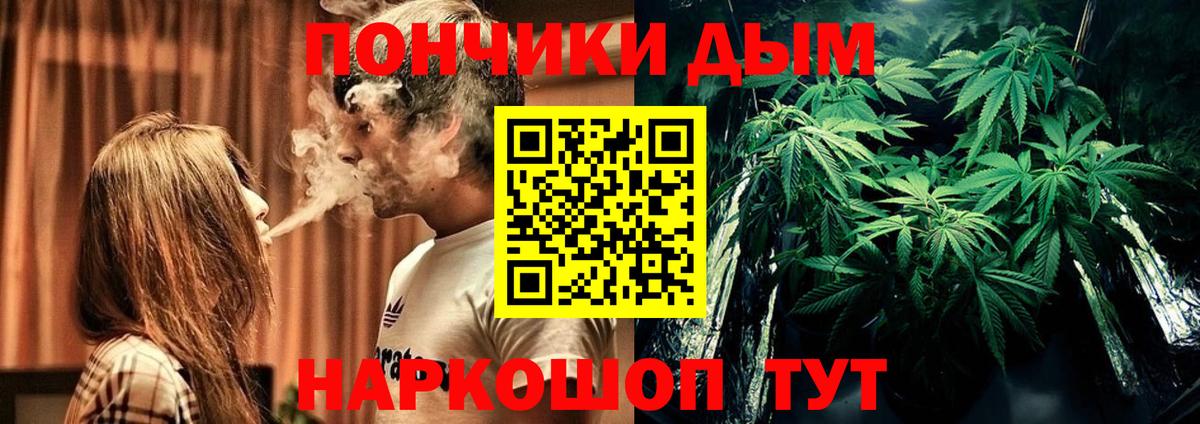 Бошки марихуана гибрид Владикавказ